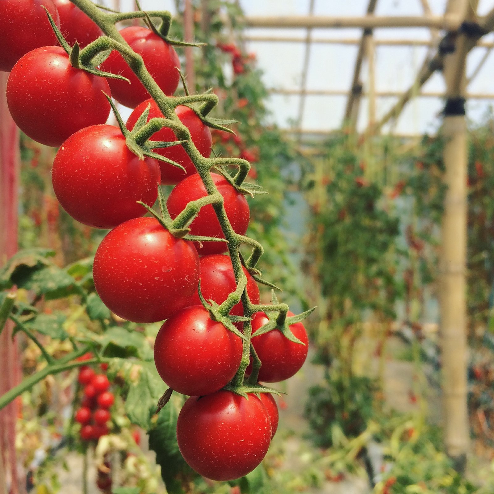 Infrastructure Image 3